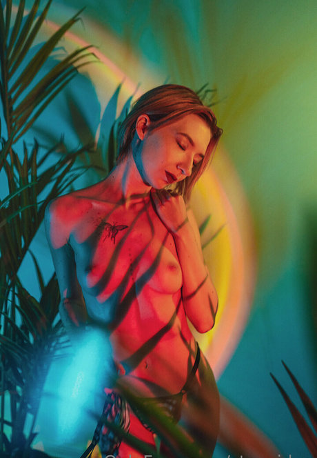 stexvideo erotische freie archiv