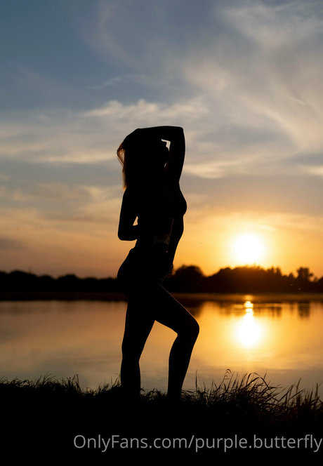 purple butterfly hübsche pornographische foto