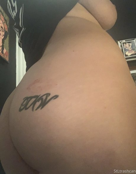 stltrashcan free freie nette fotos