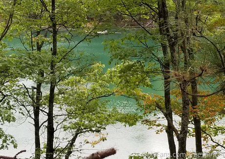 gingerhippie74 erwachsene nackt bild