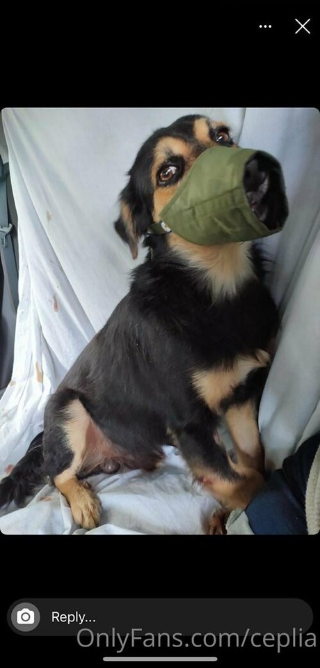 ceplia nackt porno galerien