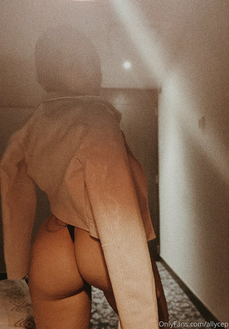 ceplia kunst hd archiv