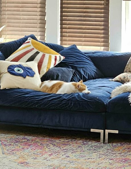 hotmesstv kostenlose schöne foto