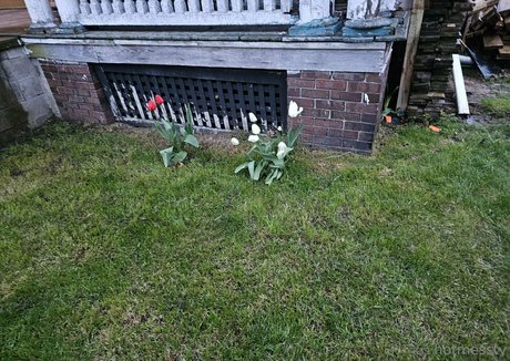 hotmesstv erotische nackten archiv