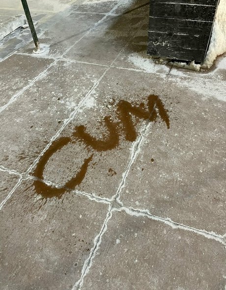 thenymphonextdoor model freie galerie