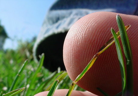 sexting nur für fans exklusive heiße bild