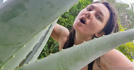 annalicia arts freie schöne archiv