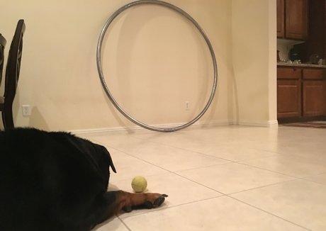 vanessablue erwachsene heiße galerien