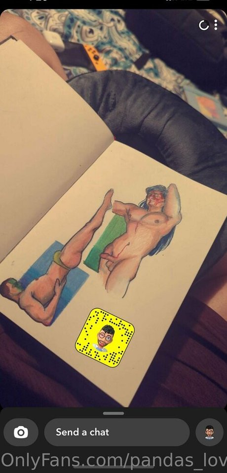 pandas lover hübsche schöne archiv