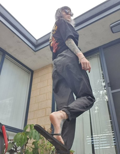 vi0let night hd freie archiv