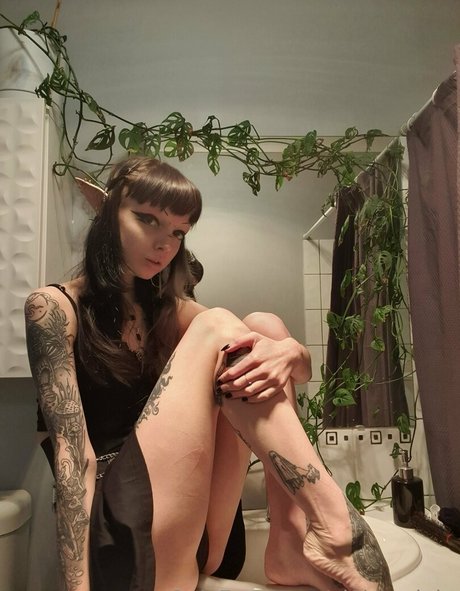 vi0let night kunst top fotos