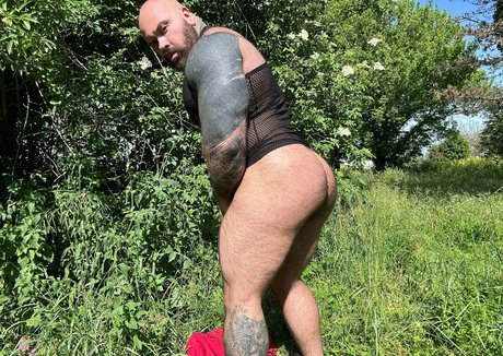 journalisten-onlyfans top akt bilder