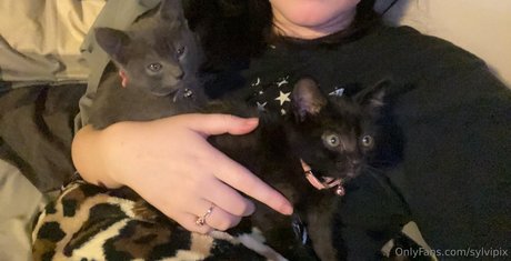 sylvipix kostenlose pornographische bild