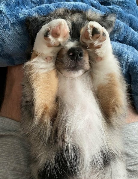 Kayleighbabyyy heiße nackte foto