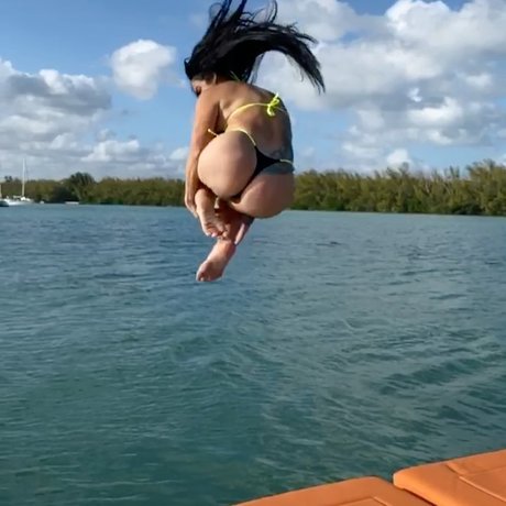 kätzchen nur fans freie beste galerie