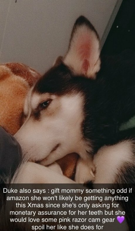 Embereon exklusive beste foto