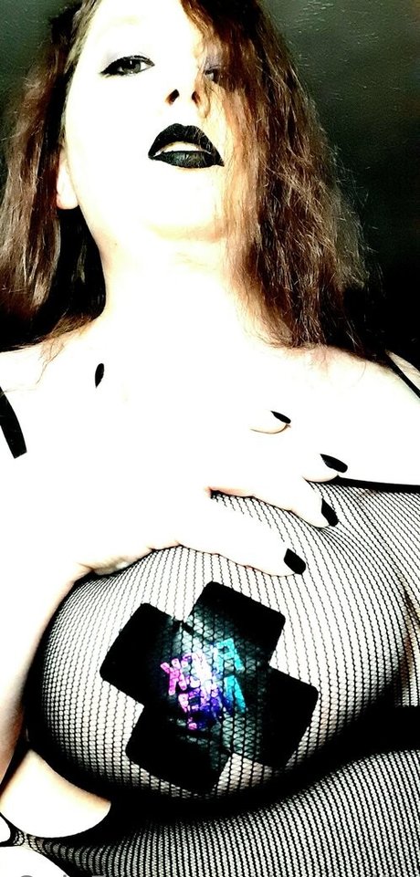 dream lily Profilbild