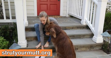 Amanda Seyfried hübsche pornostar galerie