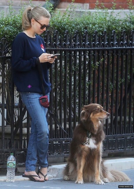 Amanda Seyfried erwachsene schöne bild