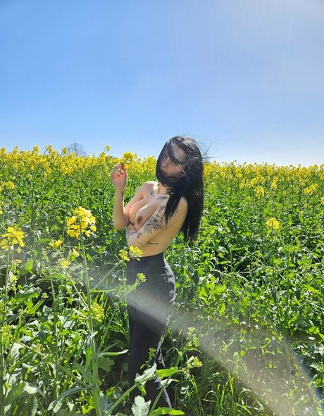 brittanyolivia pornostar freie foto