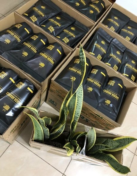 große latina-onlyfans perfekte kostenlose fotos