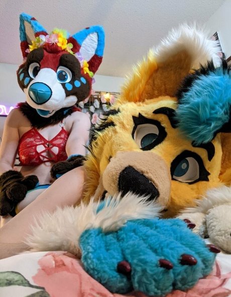 voan zonead freie nette galerie