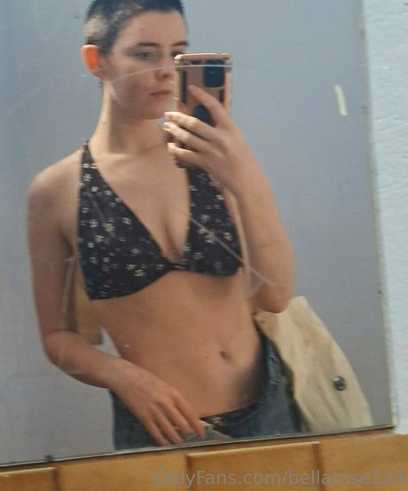 bellarose224 hübsche kunst galerie