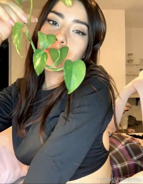 rositapastel heiße porno bild