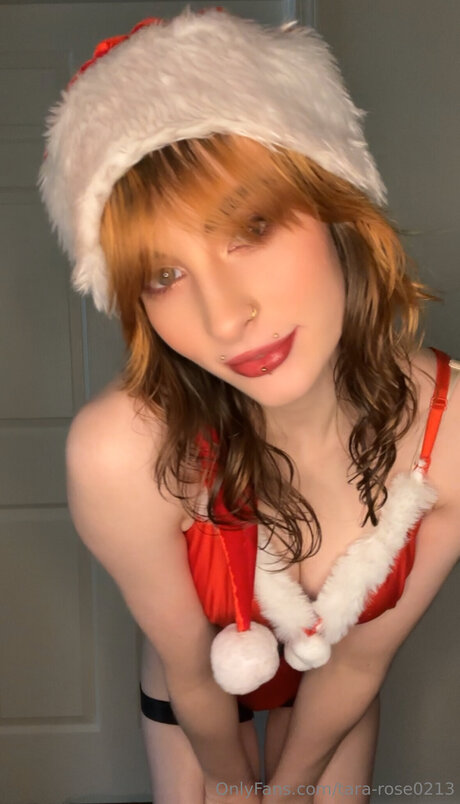 tara rose0213 porno top galerien