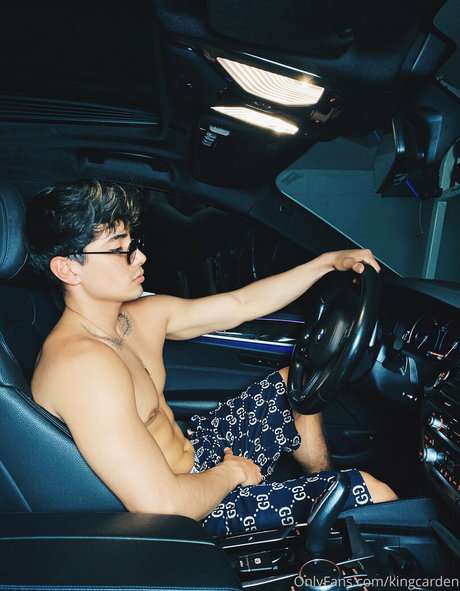 aedanvip kunst schöne archiv