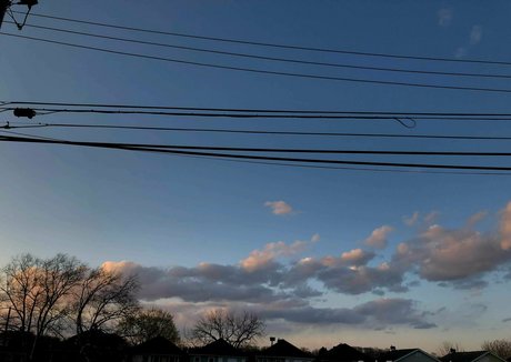 mooseve kostenlose perfekte archiv