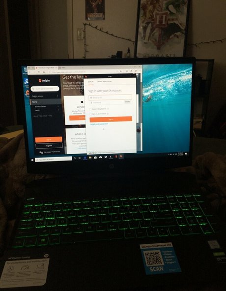 gamerwillow exklusive pornografische fotos