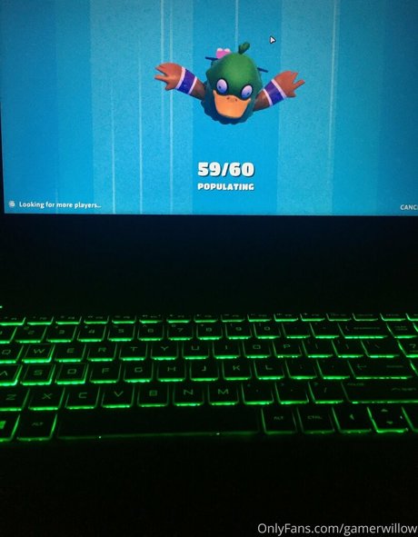 gamerwillow kunst xxx fotos