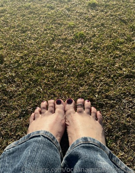 oceanamoon freepass kostenlose beste bild