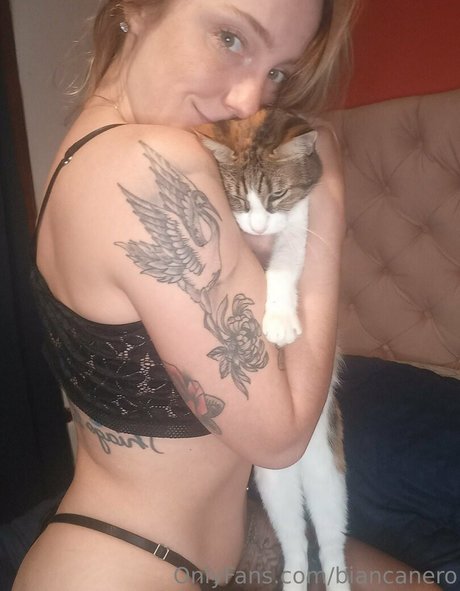 biancanero kostenlose beste bild