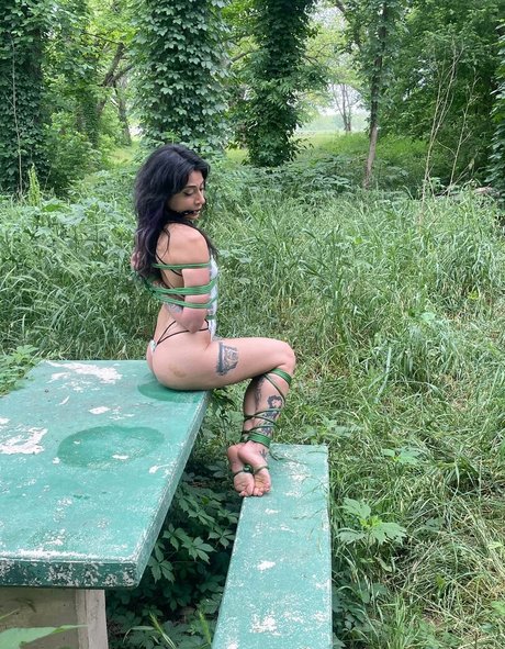 sugarskull bri hd hübsche bild