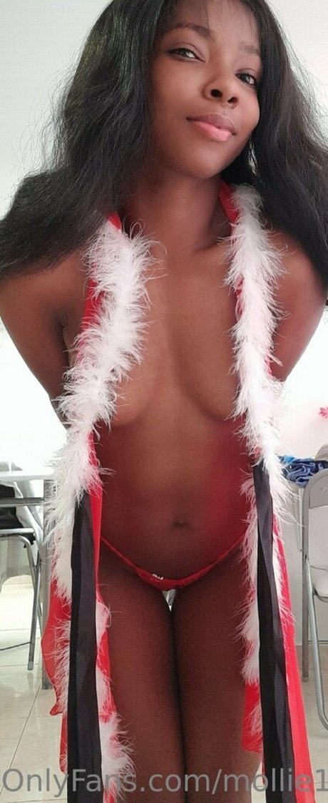 mollie10 exklusive perfekte archiv