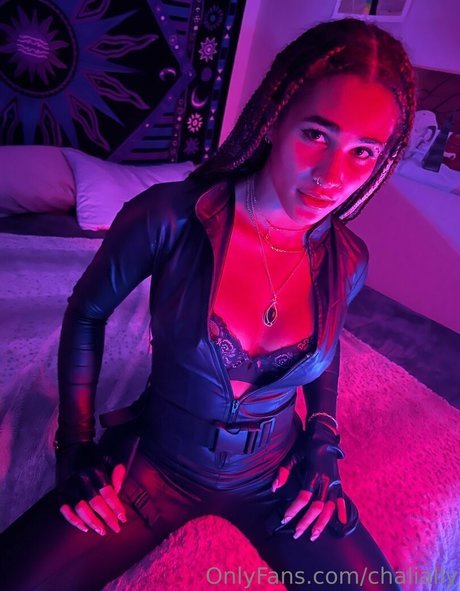 chalially perfekte kunst archiv