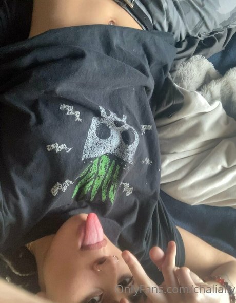 chalially schöne nette galerie