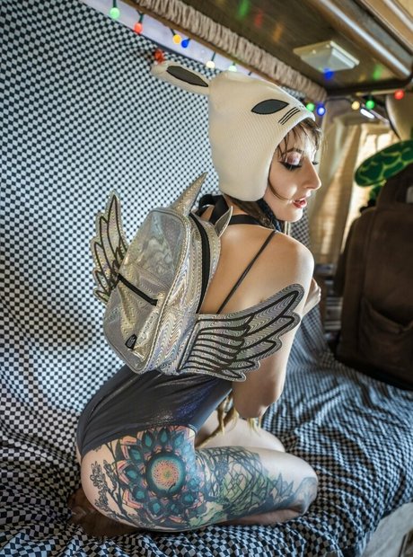 whiskey shotz kunst top galerien