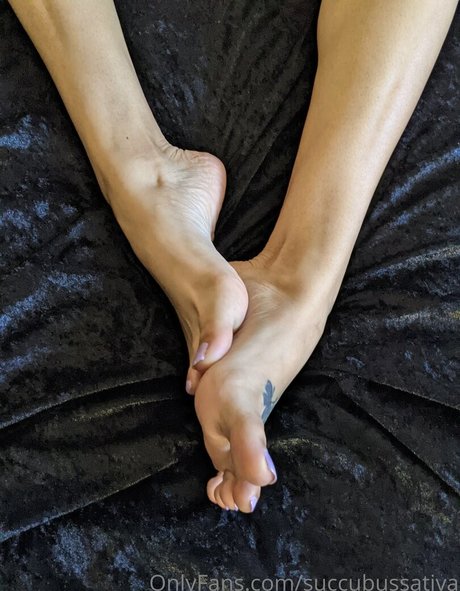 fußball-onlyfans hd kostenlose fotos