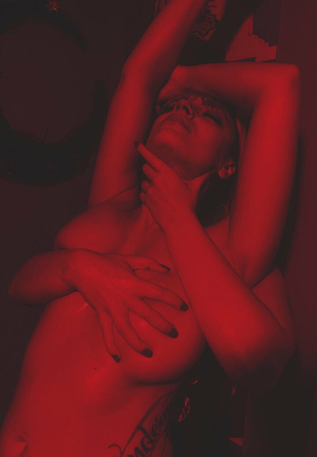 pashavixen hd nette archiv