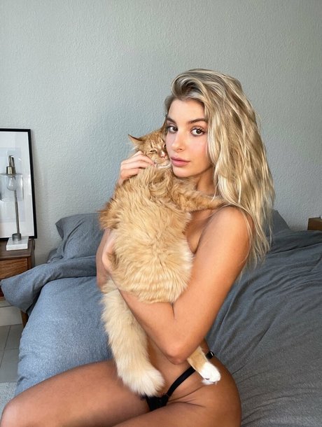 ashleymariedickerson model schöne fotos