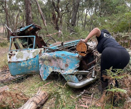 lydiarotary exklusive schöne foto