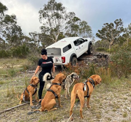 lydiarotary kostenlose pornostar bilder