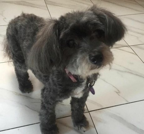 sexting nur für fans hübsche nackte fotos