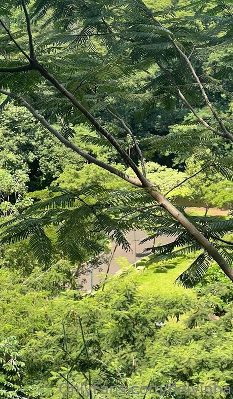 schwul oral onlyfans porno kunst bild