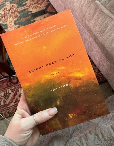 bbc-gesichtsbehandlung onlyfans erotische sexy archiv