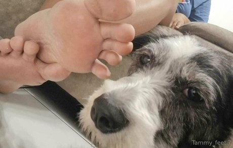 kelita val perfekte exklusive archiv