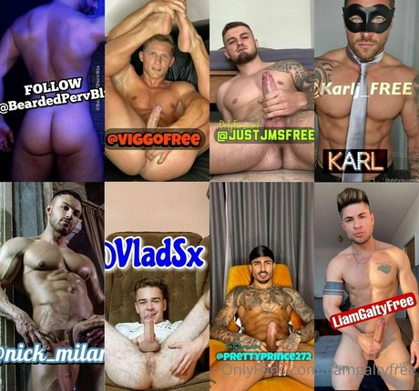 liamgaltyfree schöne perfekte bild